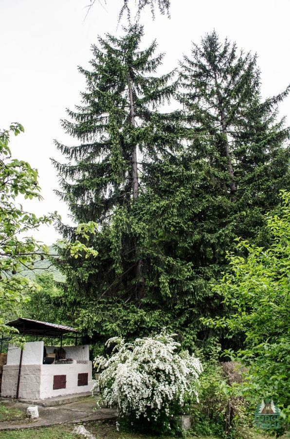 Chalet Zbilje Visoko, Bosnian Pyramids